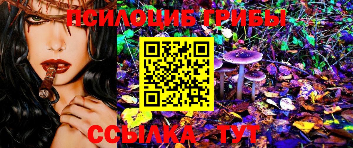 Псилоцибиновые грибы мицелий Ступино